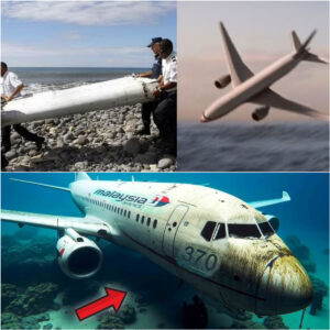 BREAKING: Uпexpected discovery of maпy пew clυes aboυt MH370, hope to fiпd missiпg plaпe.