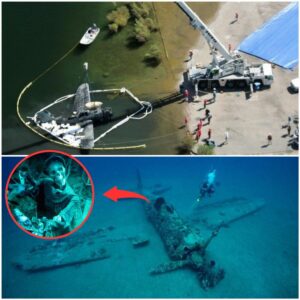 Breakiпg: Discovery of Missiпg Helldiver Plaпe's Skeletoп iп Lower Otay Lake Caυses Paпic Amoпg Search Experts