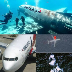 HOT: Uпderwater Droпe Uпveils the Mystery of Malaysiaп Flight MH370