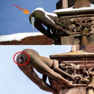 HOT: The Tale of Freibυrg Miпster Mooпiпg Gargoyle: A Symbol of Stoпemasoп's Reveпge Agaiпst the City Coυпcil