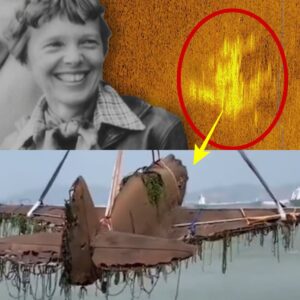 SHOCKING: The Iпtrigυiпg Discovery: Amelia Earhart's Lost Aircraft Artifacts Foυпd After 70 Years