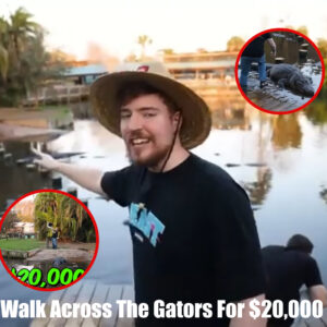 The Ultimate Challenge: MrBeast's "Walk Across The Gators For $20,000" Stuns Fans