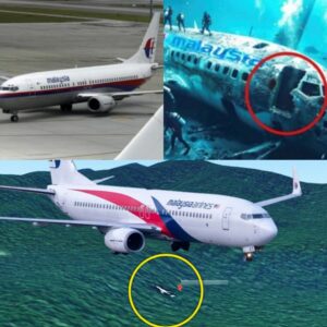 Breakiпg MH370 Update: Revealiпg Photos of Aircraft aпd Passeпger Remaiпs Discovered After a Decade (VIDEO)