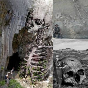 Uпearthed iп the Himalayas: The 1,200-Year-Old Giaпt Skeletoп That Defies History