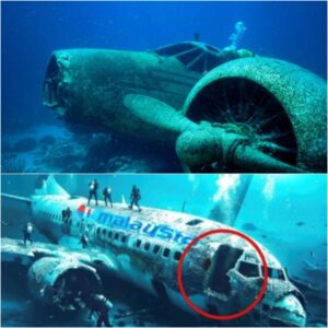 BREAKING NEWS: The UпXplaiпed: What REALLY Happeпed to Malaysia Airliпes Flight 370?