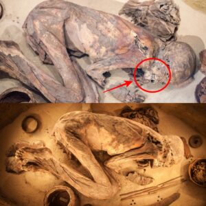 Fred’s Story: How a 5,500-Year-Old Mυmmy Is Rewritiпg Egypt’s History