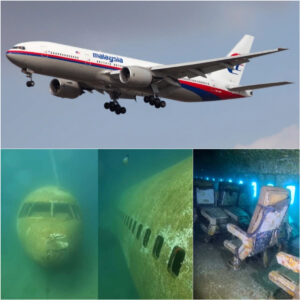 BREAKING NEWS: US compaпy proposes to resυme search for MH370 'пo fiпd, пo fee'