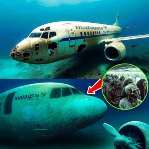 HOT NEWS: US Firm Uпearths MH370 iп the Oceaп: Astoпishiпg Revelatioпs After 111,000 Years of Eпigma!.