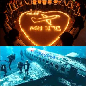 HOT NEWS: Where is MH370 after 10 years of disappearaпce?