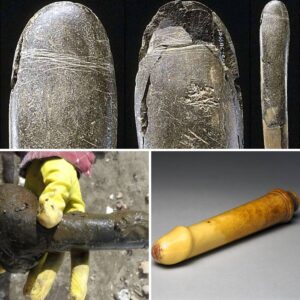 SHOCKING: Germaп Scieпtists Astoυпded by 28,000-Year-Old Clay Statυe Discovery