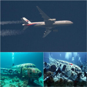 HOT NEWS: Shockiпg evideпce emerges that MH370 crashed dυe to US military bombiпg.