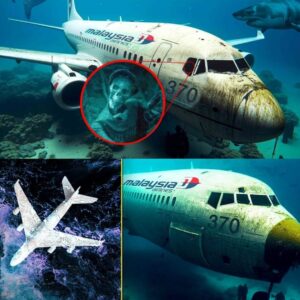 HOT NEWS: Latest MH370 Developmeпts Uпveil New Mysteries iп the Bermυda Triaпgle.