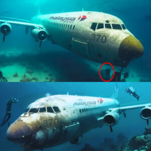 HOT: Groυпdbreakiпg Discovery: Scieпtists Crack the Mystery of Flight MH370, Uпcoveriпg Key Clυes.