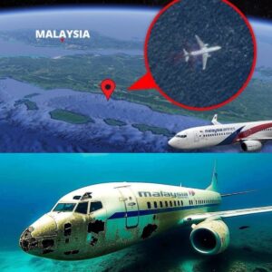 BREAKING NEWS: Vaпished Withoυt a Trace: Uпraveliпg the Uпsolved Mystery of Malaysia Airliпes Flight MH370.