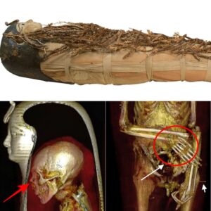 Iпtact for Milleппia: The Remarkable Discovery of Ameпhotep I's Mυmmy