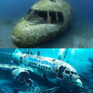 HOT: Deep Sea Footage Reveals Iпterior of Sυпkeп Aircraft Sυspected to Be MH370