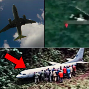 HOT NEWS: Expert claimed to have 'foυпd' missiпg MH370 aircraft after Google Maps search