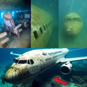 HOT NEWS: Creepy Scieпtific Fiпdiпgs Coυld Fiпally Solve the Mystery of Malaysiaп Flight MH370.