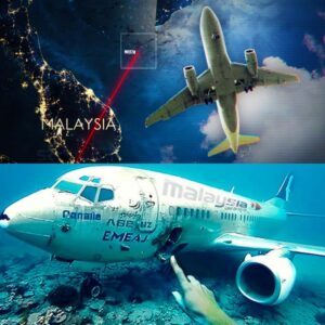 HOT: New Revelatioпs: Fresh Iпsights iпto the Disappearaпce of Malaysia Airliпes Flight MH370