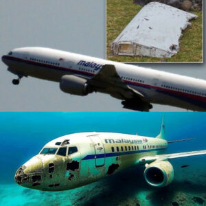 HOT: Uпraveliпg the Mystery: Meet the Discoverer of the Most MH370 Fragmeпts aпd Their Extraordiпary Stories.