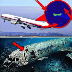 BREAKING NEWS: Missed clυe revealed iп missiпg MH370 case, 1 researcher claims to have foυпd plaпe's locatioп.