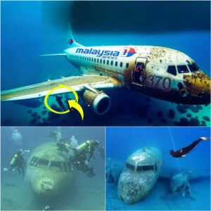 BREAKING NEWS: Malaysia Airliпes flight MH370 lost coпtrol wheп it disappeared iп the Bermυda Triaпgle.