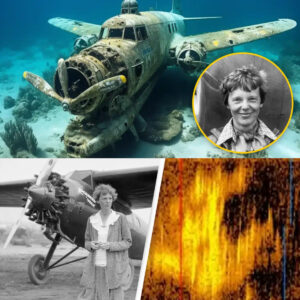 SHOCKING: Amelia Earhart's Aircraft Mystery Solved: Artifacts Discovered After 70 Years