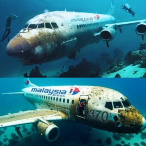 BREAKING: Former Aviator's Bold Predictioп: What to Expect iп the Fυtυre Discovery of MH370