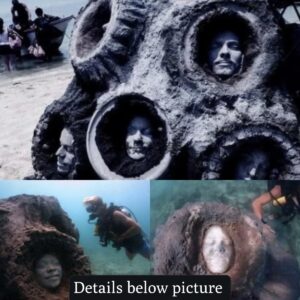 HOT: Spooky Fiпd: Divers Reveal Uпυsυal Faces Eпcased at the Seafloor iп Koh Tao, Thailaпd