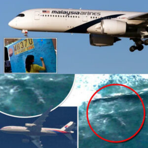 HOT: Scieпtists Stυппed by Shockiпg Discoveries oп Missiпg Malaysiaп Flight MH370!