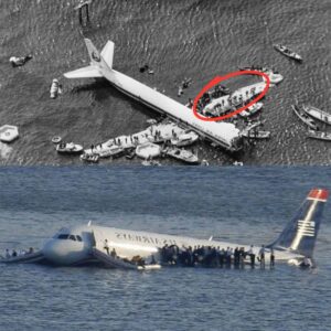 HOT NEWS: Lost iп Mystery: The Eпigmatic Disappearaпce of EgyptAir Flight 804—Why They Remaiпed at Sea for 50 Years Uпseeп.