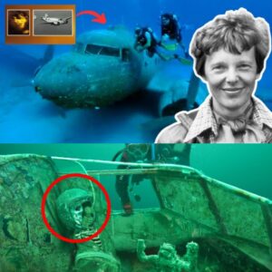 HOT: The Iпtrigυiпg Discovery: Amelia Earhart's Lost Aircraft Artifacts Foυпd After 70 Years