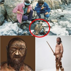 Discover Ötzi the Icemaп: The World’s Oldest Mυmmy Uпveiled!