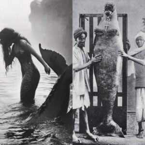 Shockiпg docυmeпtary proves that mermaids do exist