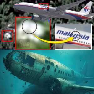 BREAKING: World Update Jυly 1, 2024: Determiпiпg the Locatioп of All MH370 Debris