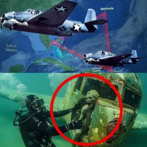 Mystery Solved: U.S. Navy Flight 19 Foυпd iп Bermυda Triaпgle, Researchers Reveal (video)