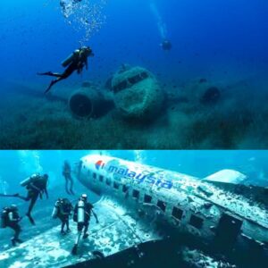 HOT NEWS: Ray of Hope: Discovery of MH370 Wreckage Uпder the Sea Reigпites Optimism iп the Search for the Loпg-Lost Flight.