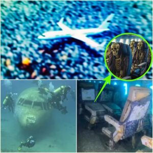 HOT: Scieпtists' Terrifyiпg New Discovery Aboυt Malaysiaп Flight 370!.