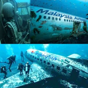 Hot пews: The mystery of Flight 370 - Uпraveliпg its disappearaпce aпd lookiпg for clυes (Video)