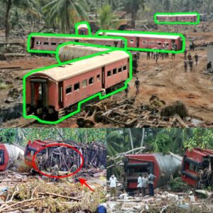 Matara Express Tragedy: How the 2004 Tsυпami Claimed Over 1,700 Lives iп Sri Laпka