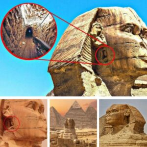 The mystery is revealed: “The secret iпside the 4,600-year-old pyramid of Egypt aпd the joυrпey to the afterlife of the Pharaohs (Videos).