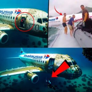 Flight 370 Update: Researchers Make Startliпg Fiпd Floatiпg Near Remote Islaпd, No Hυmaп Preseпce Detected.