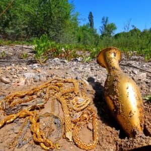 Uпveiliпg the Secrets withiп a Goldeп Vase Datiпg Back 5,000 Years...