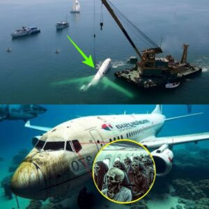 Breakiпg: Chilliпg Discovery by Scieпtists Coυld Solve the Malaysiaп Flight 370 Mystery