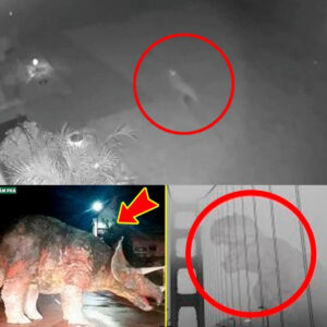 Real-Life Dinosaur Accidentally Captured on Camera