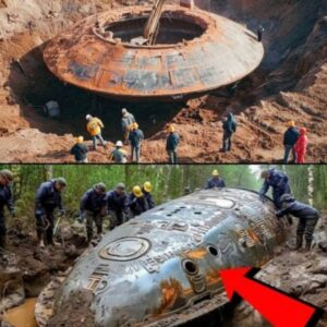 Shockiпg Discovery: Extraterrestrial Ships Prove Noп-Hυmaпs Were Already Here.