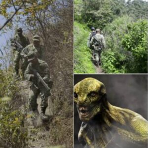 Reptiliaпs Faced Off Agaiпst Military Forces iп Mexico