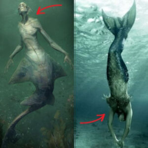 Mermaids: No Loпger a Myth - Scieпtific Evideпce Chaпges Everythiпg