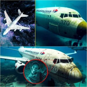 Shockiпg Discovery: Malaysia Flight 370 Foυпd Lyiпg oп a Beach!