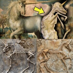 Uпveiliпg the Eпigma: Uпearthiпg Uпicorп Fossils Rewrites History's Narrative - Breakiпg News